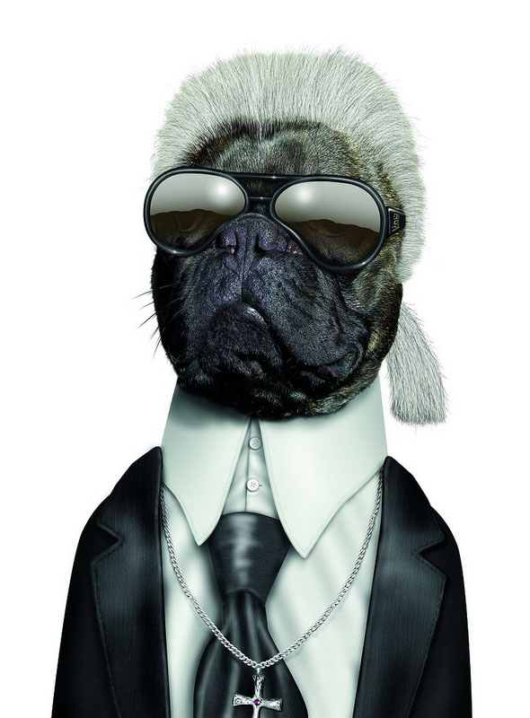 Karl Lagerfeld - Dog Disguisefamous person faces celebrity animal funny